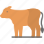 animal, cow, farming, mammal, meat, sq616 