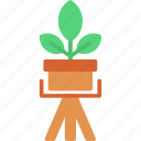 houseplant, plant, pot, stand, fern