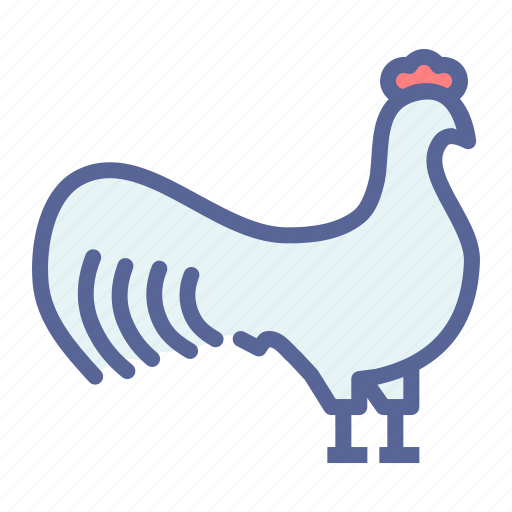 Bird, cock, poultry, rooster icon - Download on Iconfinder