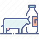 bottle, cow, dairy, milk