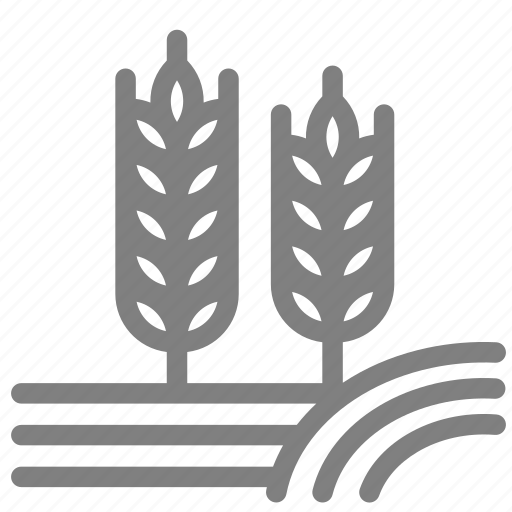 Crop, farm, farming, growth, plant, rice icon - Download on Iconfinder