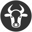 beef, bull, calf head, cattle, cow, horned ox, power