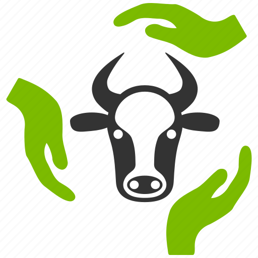 Beef meat, care hand, care hands, cattle service, cow insurance, livestock farm, vet support icon - Download on Iconfinder