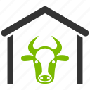 bull, cattle, cow farm, farming, garage, livestock, ox