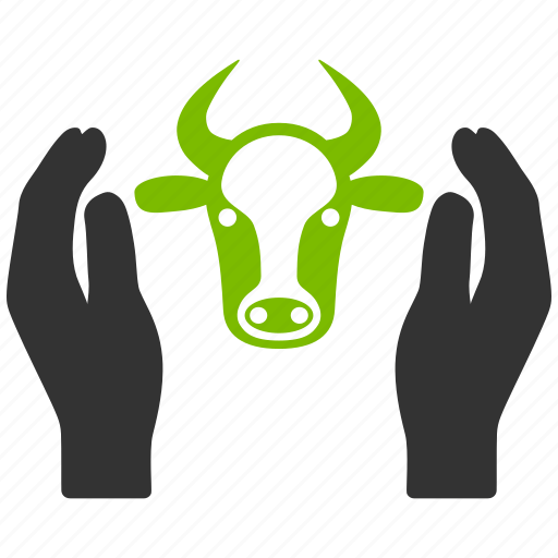 Beef meat, bull head, care hands, cattle service, cow insurance, livestock farm, vet support icon - Download on Iconfinder