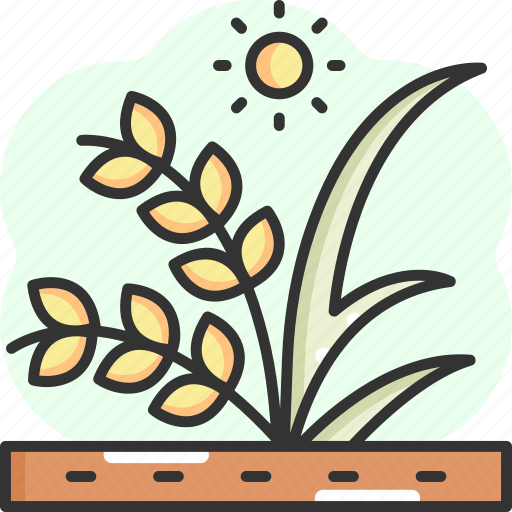 Rice, organic, vegan, grain, wheat icon - Download on Iconfinder