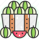 water melon, organic, watermelon, melon, holidays