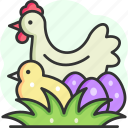 poultry, chicken, hen, farm, bird