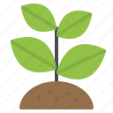 agriculture, farm, plant, sprout, tree