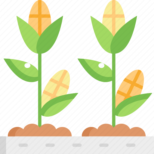 Corn, healthy eating, plants, plant, vegetables icon - Download on Iconfinder