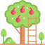 ladder, fruits, step ladder, fruit tree, pick up 