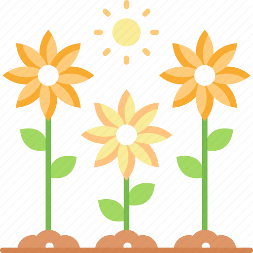 Sunflower, garden, nature, botanical, blossom icon - Download on Iconfinder