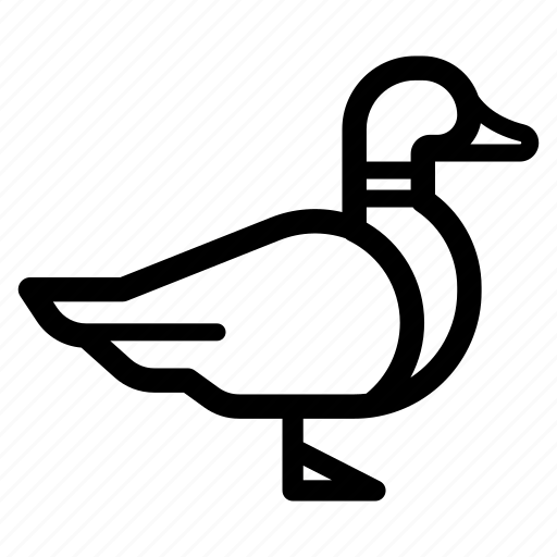 Bird, duck, fowl, goose icon - Download on Iconfinder