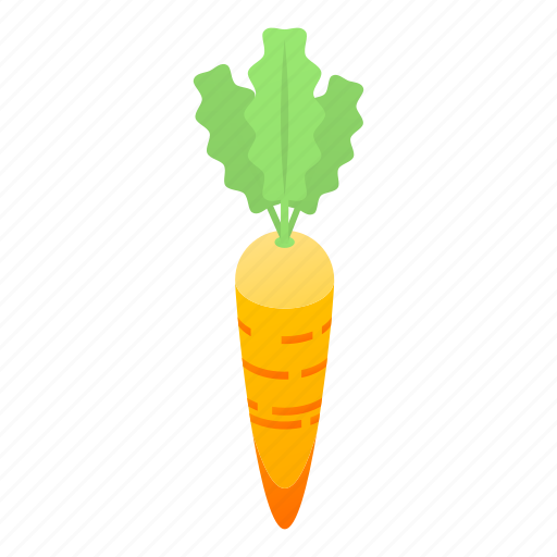 Carrot, cartoon, eco, food, fresh, isometric, summer icon - Download on Iconfinder