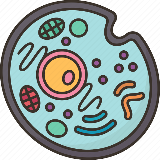 Cells, nucleus, biology, anatomy, science icon - Download on Iconfinder