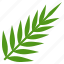 christ, hosanna, judaism, leaves, palm 