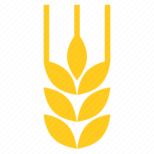 Barley, food, grains, wheat icon - Download on Iconfinder
