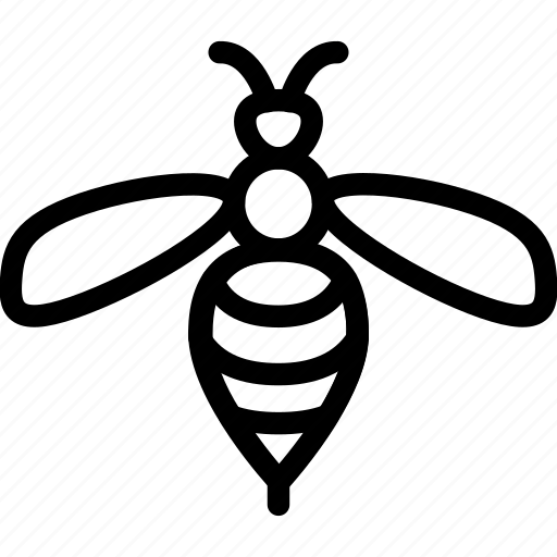 Fly, insects, mosquito icon icon - Download on Iconfinder