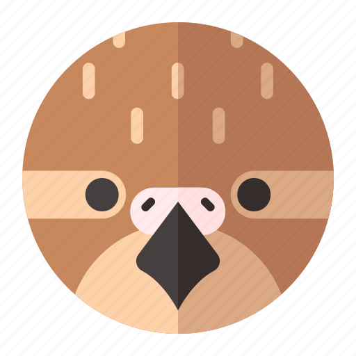 Quail, animal, bird, cute, animals, zoo, pet icon - Download on Iconfinder