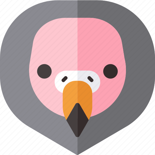 Vulture, bird, animal, zoo, wild, nature icon - Download on Iconfinder