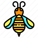 bee, insect, animal, fly, alternative, medicine