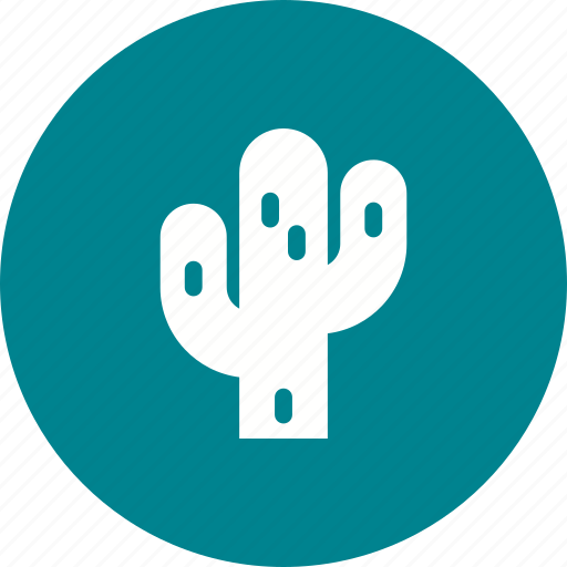Cactus, desert, land, natural, outdoor, plant, sand icon - Download on Iconfinder