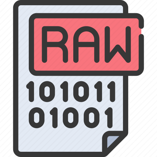 Raw, data, file, analytical, document icon - Download on Iconfinder