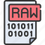 raw, data, file, analytical, document 