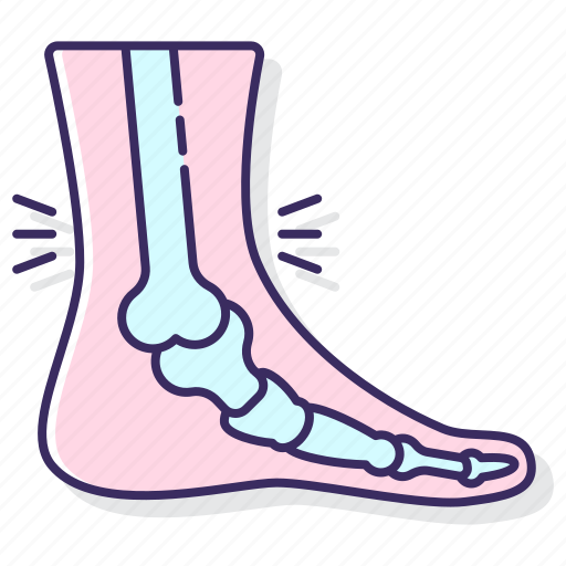 Anatomy, ankle, bones, medical icon - Download on Iconfinder