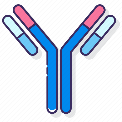 Anatomy, antibodies, biology, science icon - Download on Iconfinder