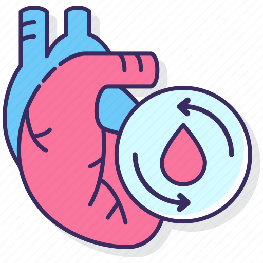Anatomy, circulatory, heart, system icon - Download on Iconfinder