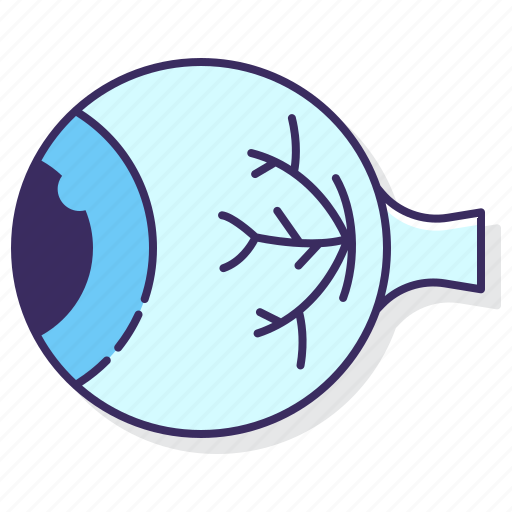 Anatomy, eye, view, vision icon - Download on Iconfinder