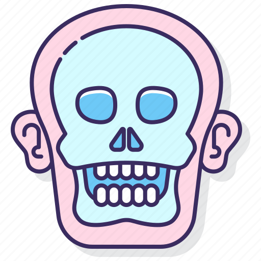 Anatomy, bones, skeletal, system icon - Download on Iconfinder