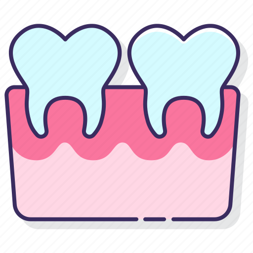 Anatomy, dental, dentist, teeth icon - Download on Iconfinder