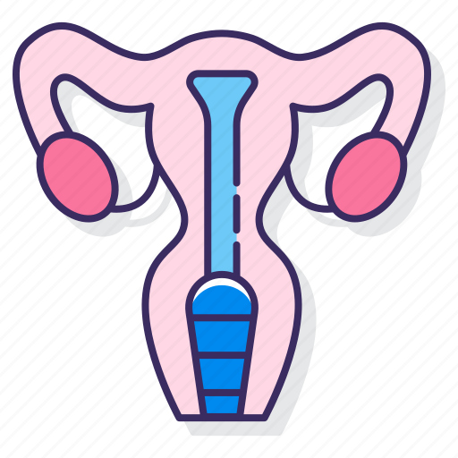 Female, organ, uterus, woman icon - Download on Iconfinder
