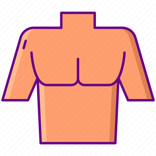 Man, chest, anatomy, human icon - Download on Iconfinder
