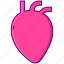heart, human, organ 