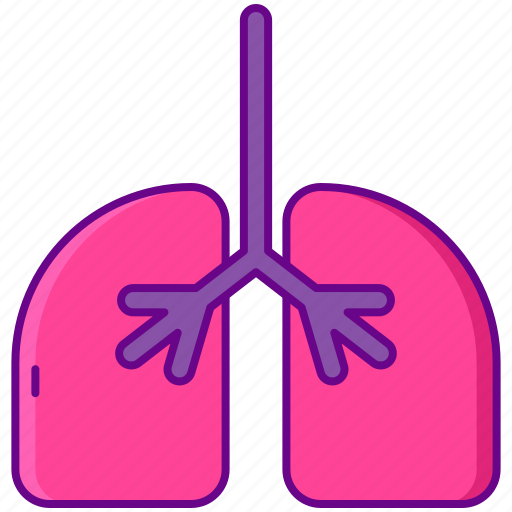 Human, lungs, organ icon - Download on Iconfinder
