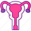 organ, reproductive, uterus, female 