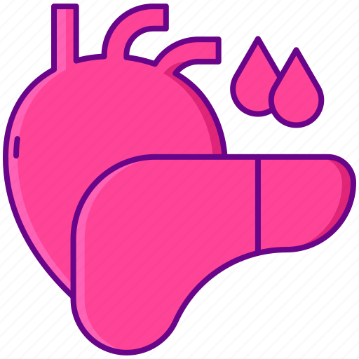 Human, vital, organs icon - Download on Iconfinder