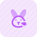 rabbit, snoring, emoticons, animal