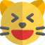 cat, grinning, squinting, emoticons, animal 