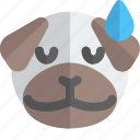 pug, sad, with, sweat, emoticons, animal