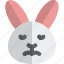 rabbit, sad, face, emoticons, animal 