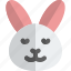 rabbit, smiling, closed, eyes, emoticons, animal 