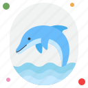 dolphin, ocean, nature, sea, wildlife, animal, aquatic, marine, water