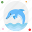 dolphin, ocean, nature, sea, wildlife, animal, aquatic, marine, water 
