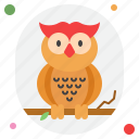 owl, animal, fowl, night, owl bird, education, halloween, wisdom