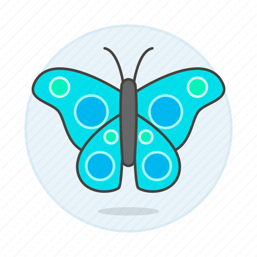 Adult, animal, butterfly, fauna, holometabolous, insects, invertebrate icon - Download on Iconfinder