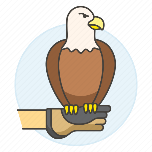 Birds, prey, of, bald, vertebrate, gauntlet, eagle icon - Download on Iconfinder
